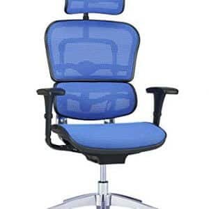 hjh OFFICE 652427 Profi Chefsessel ERGOHUMAN EDITION Netzstoff Blau Bürostuhl Drehstuhl ergonomisch mit Vollausstattung