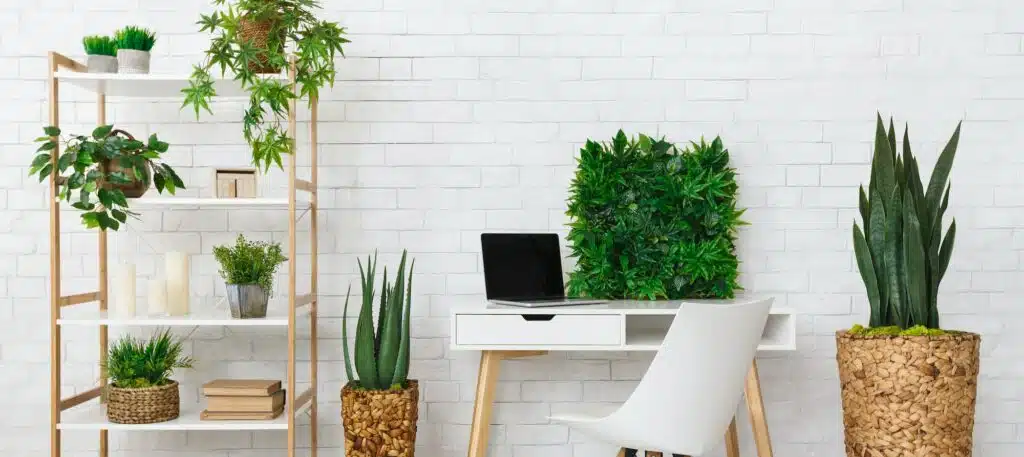 Office place with various plants on the bookshelf